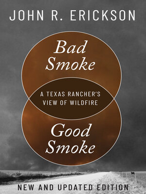 cover image of Bad Smoke, Good Smoke